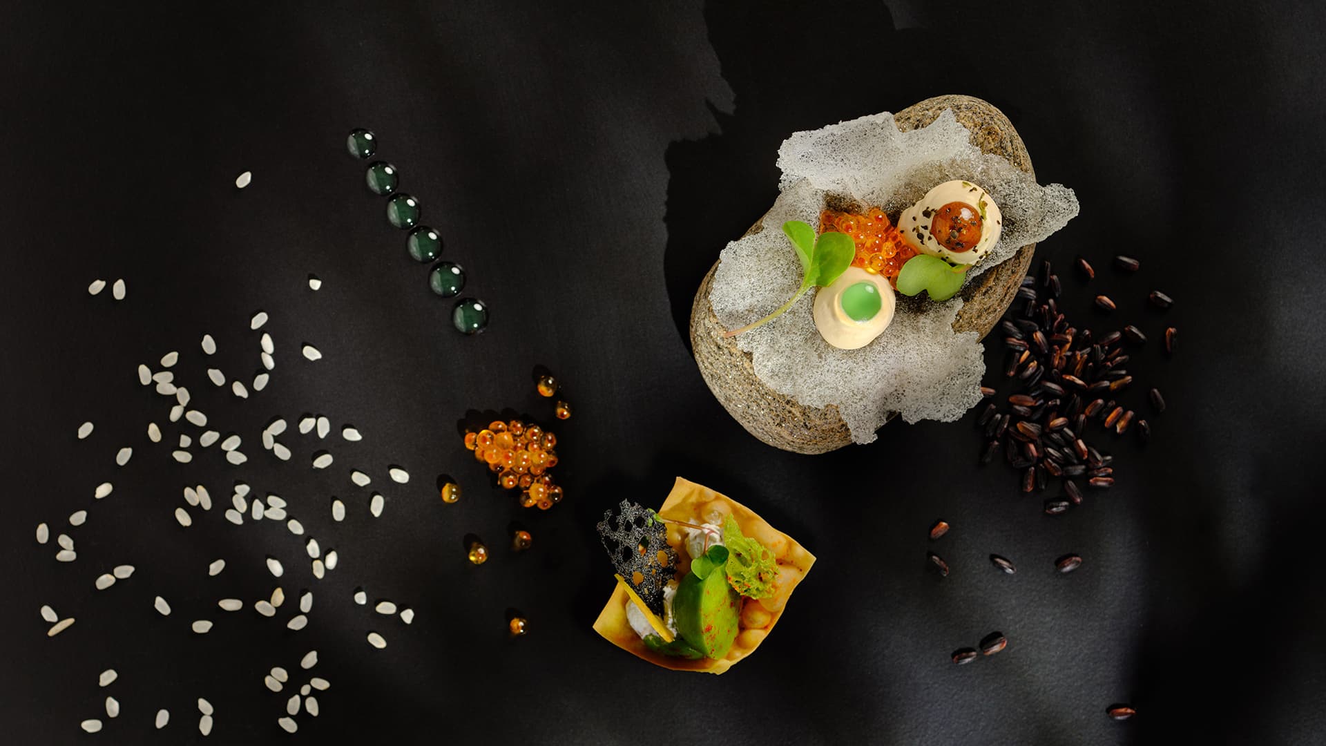 Une créativité sans limite, pour une expérience toujours plus riche et surprenante